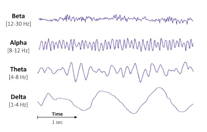 activité cérébrale pendant la méditation : Ondes cérébrales du bonheur EEG